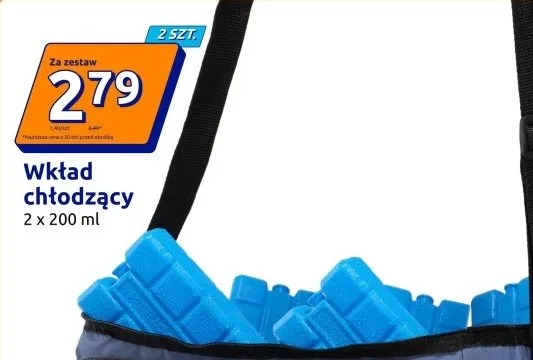 Wkład chłodzący Froyak 2-pak 200 ml promocja w Action