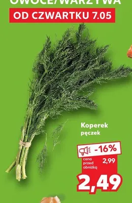 Koperek pęczek promocja w Kaufland