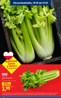 Seler naciowy polski promocja w Lidl