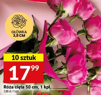 Róża cięta 50 cm, 10 sztuk promocja w Twój Market