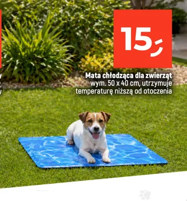 Mata chłodząca dla zwierząt promocja w Dealz