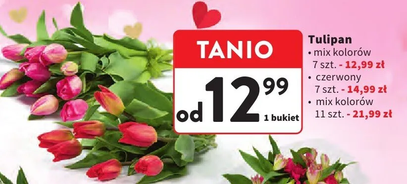 Tulipan mix kolorów 7szt promocja w Intermarche