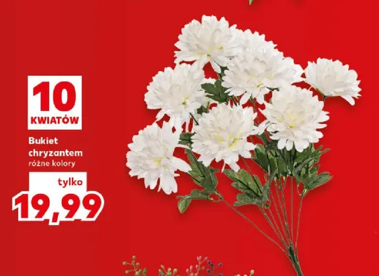 Bukiet chryzantem promocja w Kaufland