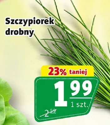 Szczypiorek drobny promocja w Prim Market