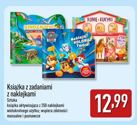 Książka z zadaniami z naklejkami promocja w Aldi