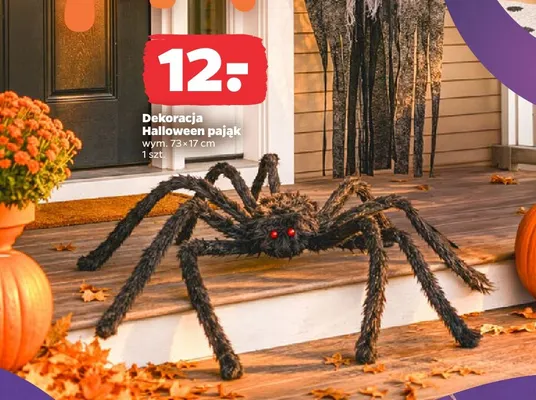 Dekoracja Halloween pająk 73x17 cm promocja w Netto