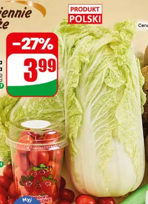 Kapusta pekińska promocja w Dino