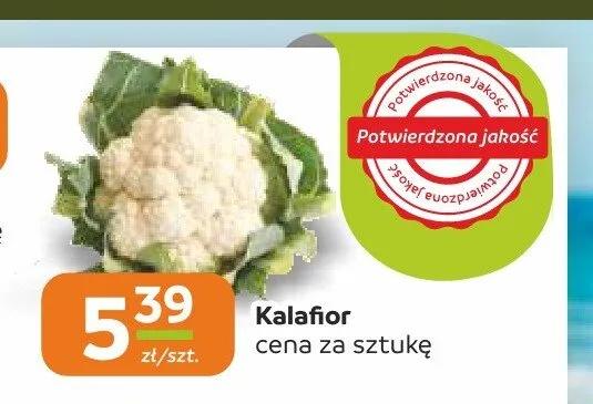 Kalafior promocja w Społem Częstochowa