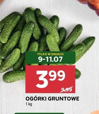 Ogórki gruntowe promocja w Stokrotka