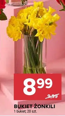 Bukiet żonkili promocja w Stokrotka
