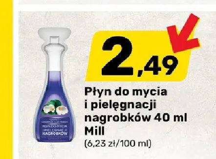 Płyn do mycia i pielęgnacji nagrobków Mill promocja w Bricomarche