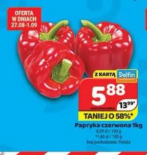 Papryka czerwona promocja w Delfin
