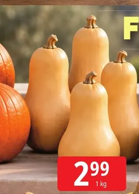 Dynia piżmowa promocja w Leclerc