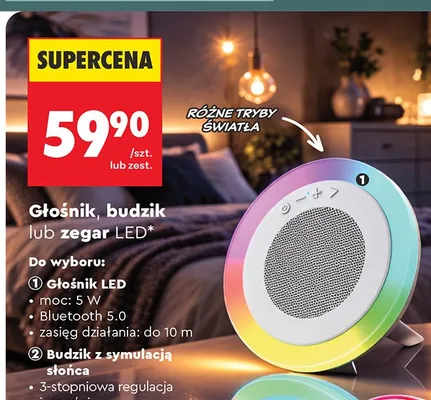 Głośnik LED Setty promocja w Biedronka