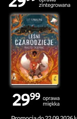 Książka Leśni czarodzieje Wilga oprawa miękka promocja w Empik