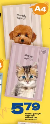 Teczka z gumką A4 Puppy Sign Interdruk promocja w Twój Market