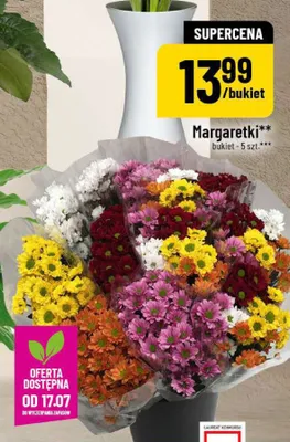 Margaretki promocja w POLOmarket