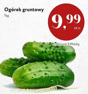 Ogórek gruntowy promocja w Market Point