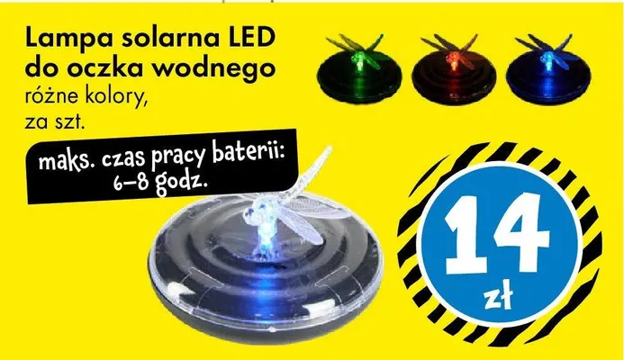 Lampa solarna LED do oczka wodnego różne kolory promocja w Tedi