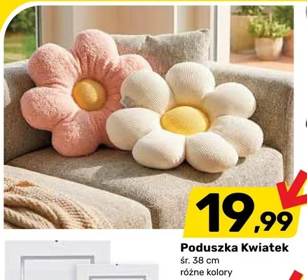 Poduszka Kwiatek promocja w Bricomarche