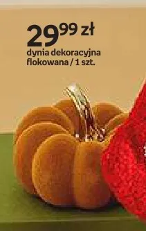 Dynia dekoracyjna flokowana Hello Autumn promocja w Empik