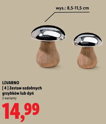 Zestaw ozdobnych grzybków Livarno promocja w Lidl