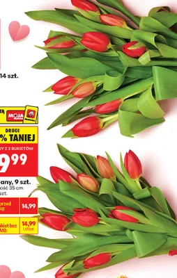 Tulipany 9 szt.  promocja w Biedronka