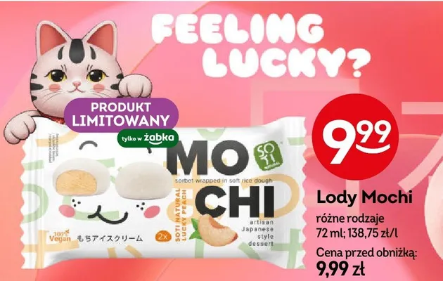 Lody różne rodzaje promocja w Żabka