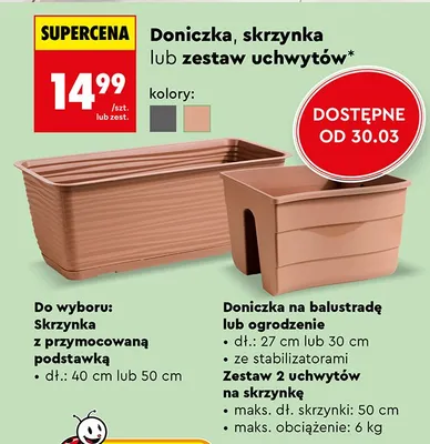 Skrzynka z przymocowaną podstawką promocja w Biedronka