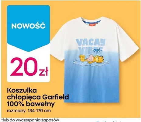 Koszulka chłopięca Garfield 100% bawełny rozmiary 134-170cm promocja w Pepco