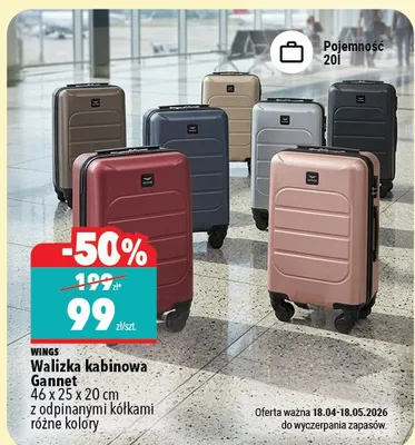 Walizka kabinowa Gannet 46 x 25 x 20 cm z odpinalnymi kółkami różne kolory promocja w Biedronka Home