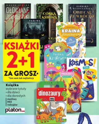 Książka wybrane tytuły dla dzieci, dla dorosłych możliwy MIX rodzajów promocja w Intermarche