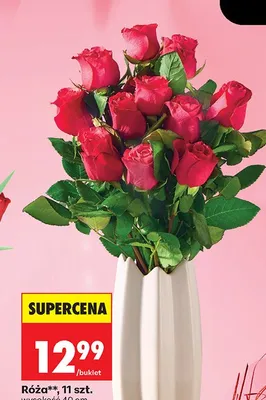 Róża bukiet 11 szt. promocja w Biedronka