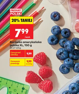 Borówka amerykańska polska XL promocja w Biedronka