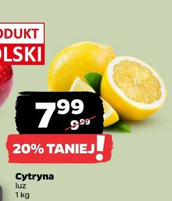 Cytryna promocja w Netto