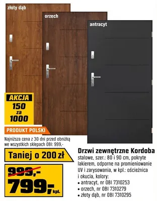 Drzwi zewnętrzne Kordoba antracyt promocja w OBI