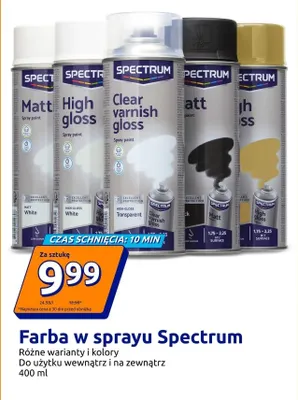 Farba w sprayu promocja w Action