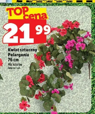Kwiat sztuczny Pelargonia 76cm promocja w TOPAZ
