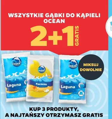 Gąbki do kąpieli Laguna promocja w Netto