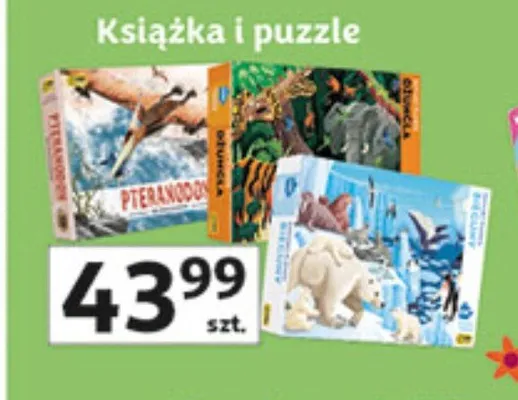 Książka i puzzle promocja w Auchan
