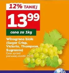Winogrona białe (Sugar Crisp, Victoria, Thompson) promocja w Hitpol