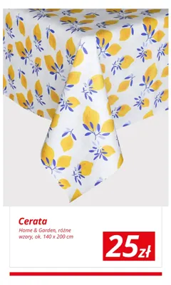 Cerata różne wzory promocja w KiK