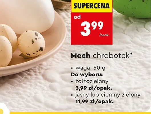 Mech chrobotek żółtozielony promocja w Biedronka