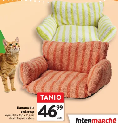 Kanapa dla zwierząt promocja w Intermarche