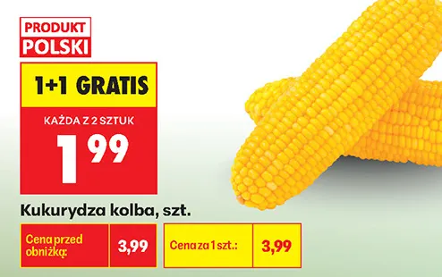 Kukurydza kolba promocja w Biedronka