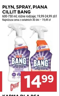 Płyn spray piana Cillit Bang promocja w Stokrotka