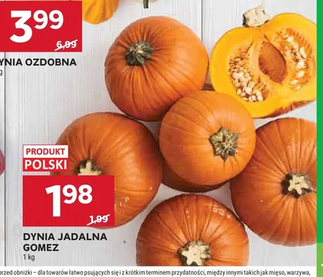 Dynia jadalna Gomez promocja w Stokrotka