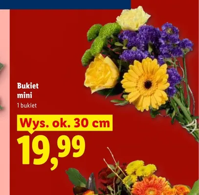 Bukiet mini wys. ok. 30cm promocja w Lidl