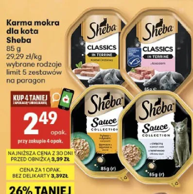 Karma mokra dla kota wybrane rodzaje promocja w Delikatesy Centrum