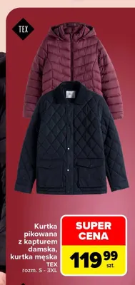 Kurtka męska TEX promocja w Carrefour